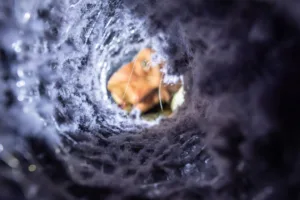 Man inspecting a dryer vent with a flashlight, checking for lint buildup and blockages. The image captures a real-life home maintenance moment.